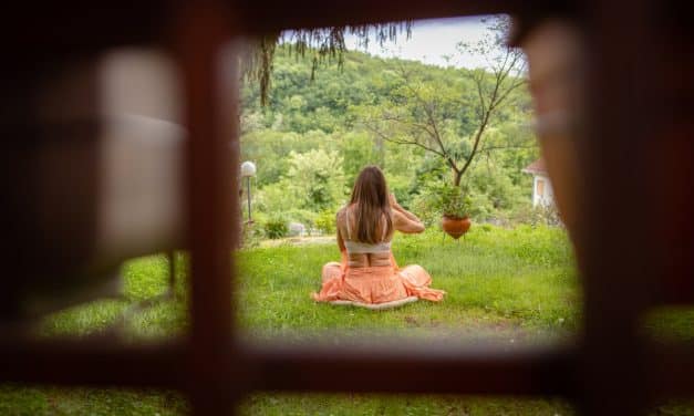 Embrace Tenfold Harmony: A Journey into Deep Herbal Wellbeing